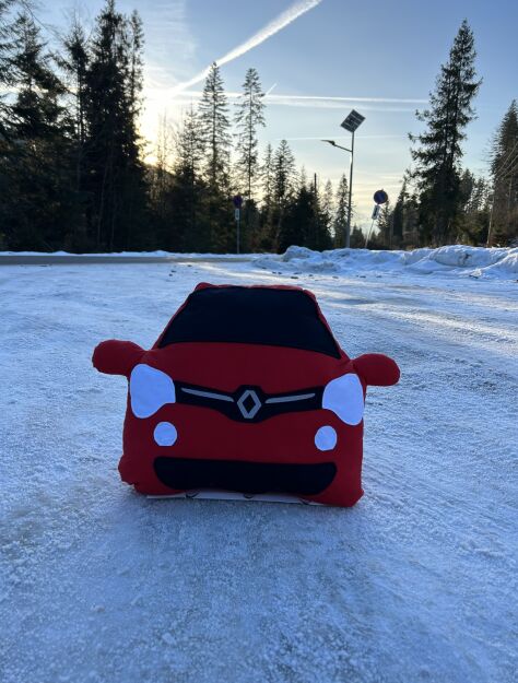 Duża poduszka Renault Twingo- Red
