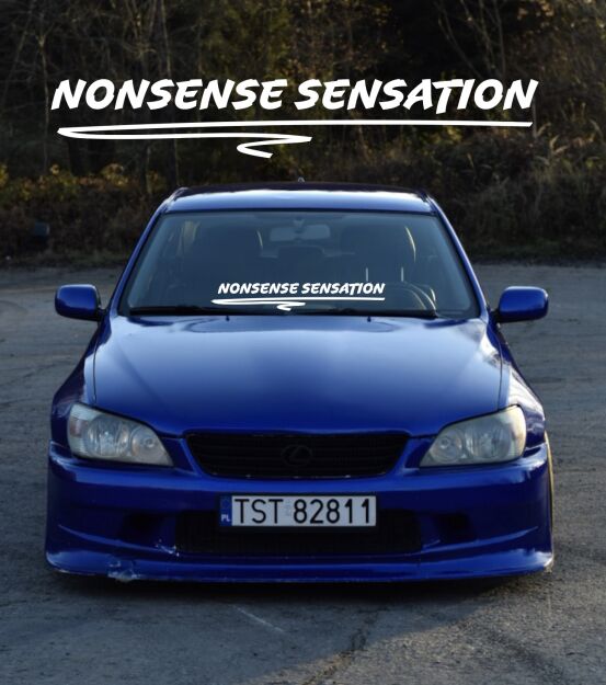 Mały banner- Nonsense Sensation
